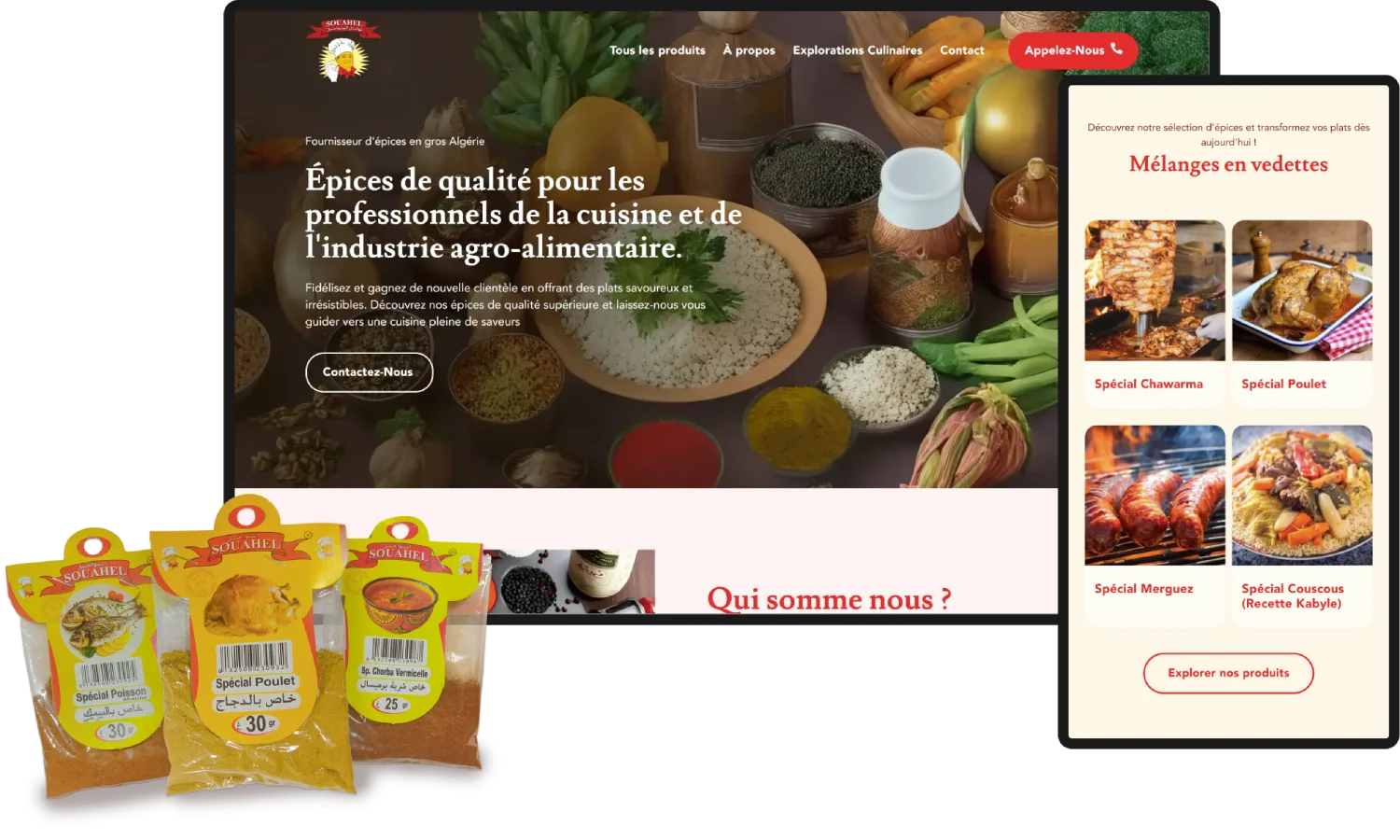 UX / UI Designer et Développeur WordPress Algérie